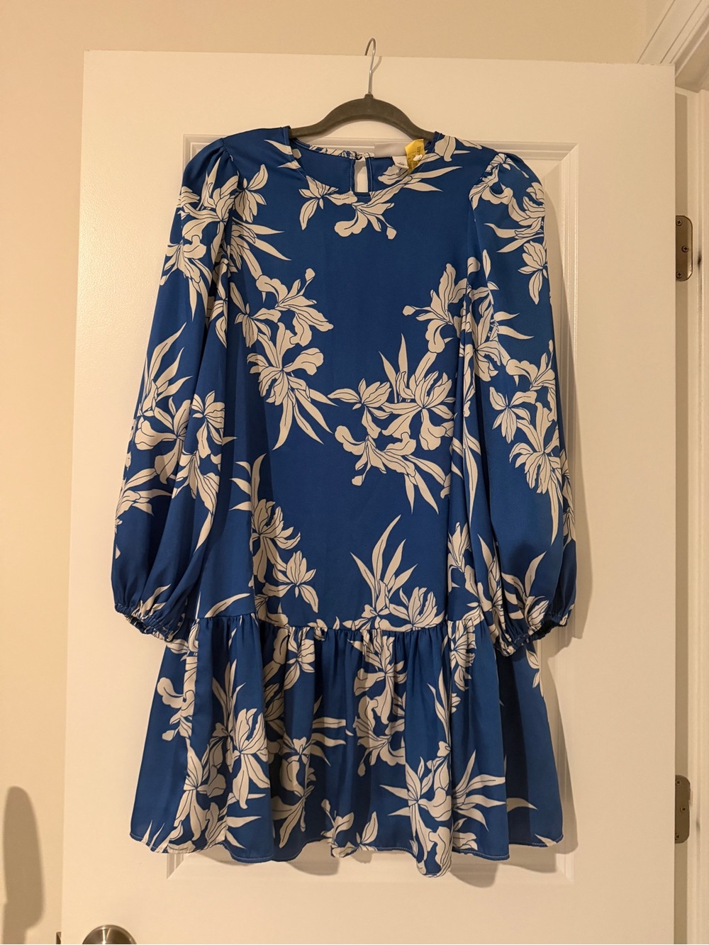 Alexis Blue Floral Long-Sleeve Mini Dress
